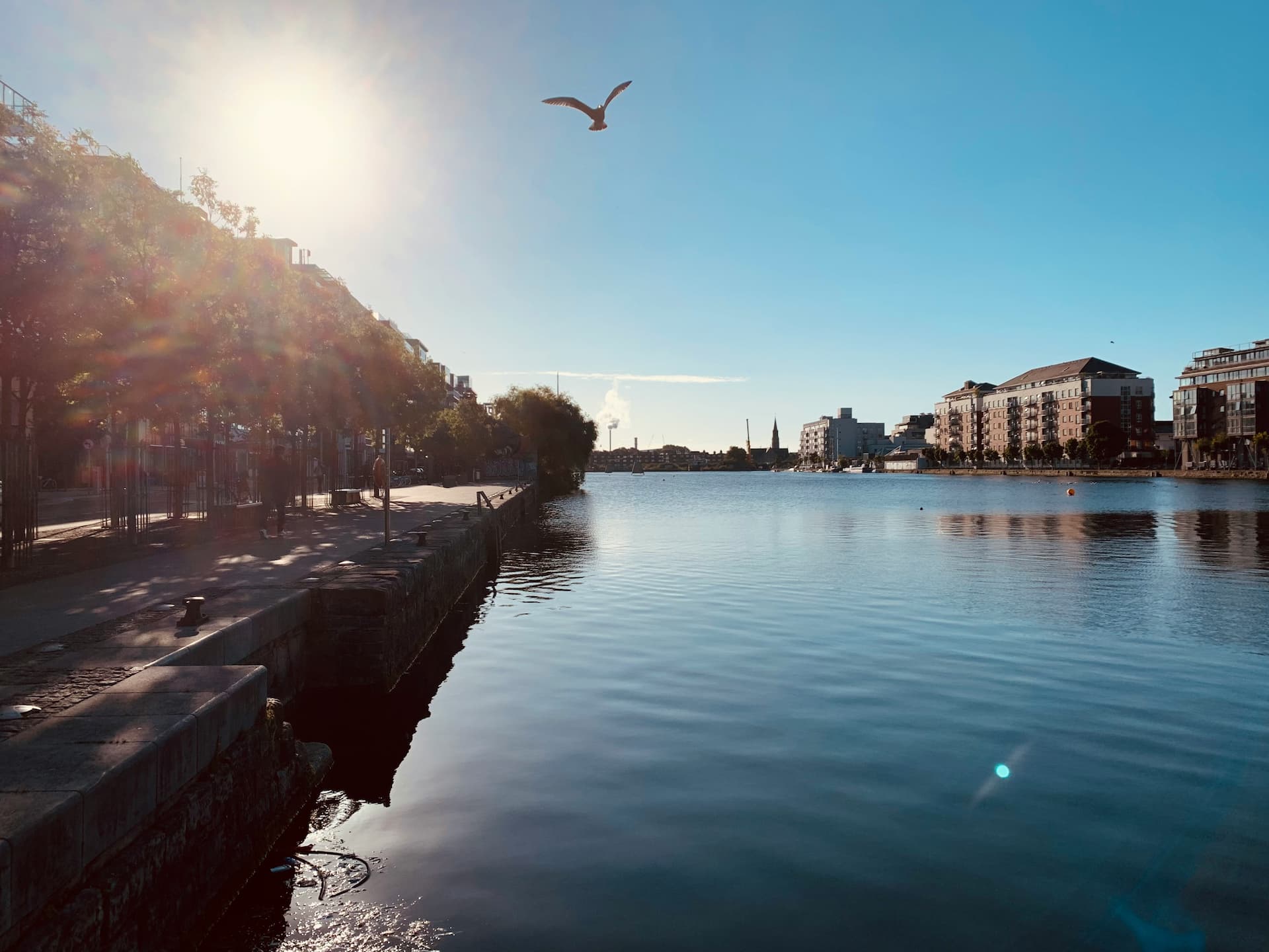 leine-trends-titelbild